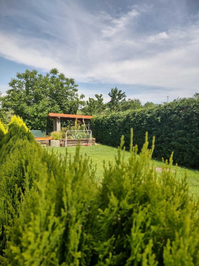 Privat Arcadia Apartment Podhajska Exterior photo